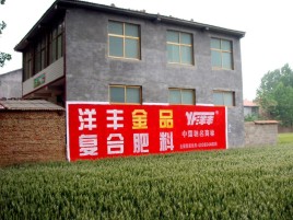  邓州如何让墙体广告展现最大化效果