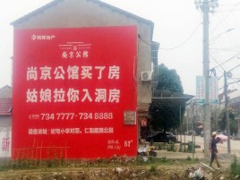  邓州墙体广告在乡镇、农村市场的媒体优势