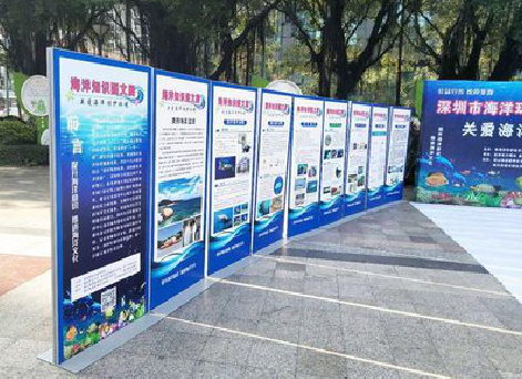  邓州KT板的种类和知识。